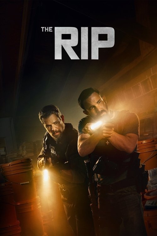 The Rip (2026) Dual Audio (DD5.1) {Hindi-English} Movie 480p | 720p | 1080p WEB-DL ESub