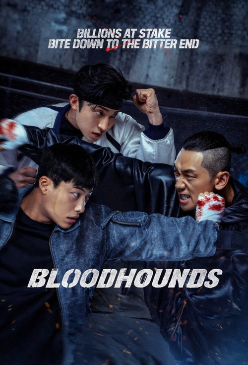 Bloodhounds (Season 1 – 2) Dual Audio (DD5.1) {Hindi-Korean} NetFlix K-Drama Series 480p & 720p, 1080p WEB-DL ESub